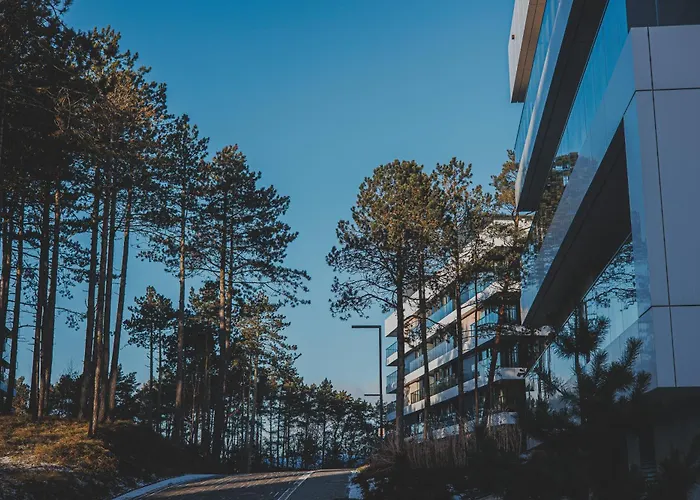 2homerent Shellter 117a * ロゴボ