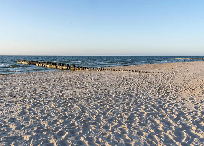 公寓 2homerent Shellter 117a 洛格沃